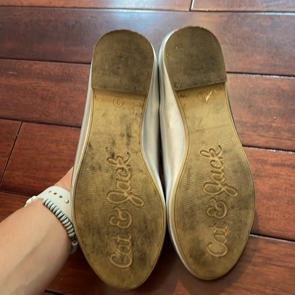 EUC Silver Ballerina Flats